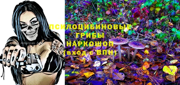 меф Дмитриев
