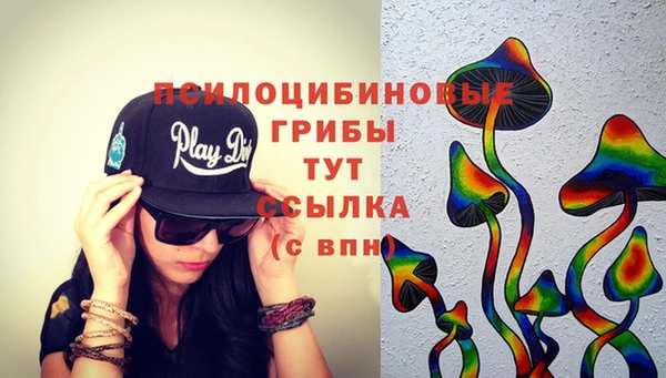 сатива Гусев