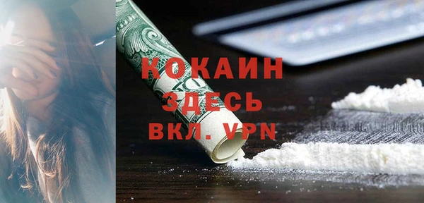 сатива Гусев