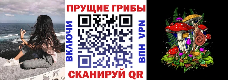 Купить где  Назарово  Галлюциногенные грибы Psilocybine cubensis 